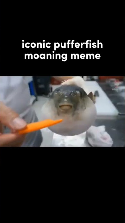 yoongi moans like a pufferfish