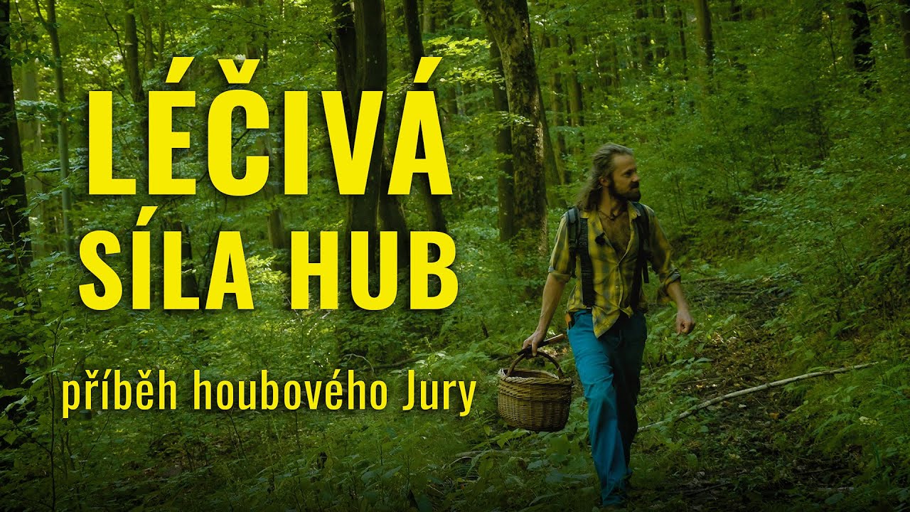 Léčivá síla hub — setkání s mykoterapeutem Přemkem Jirákem