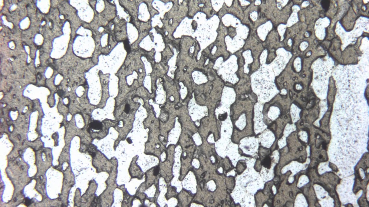 Staurotide Au Microscope Polarisant Lpna Youtube