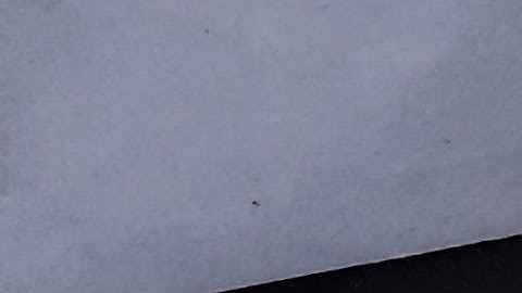 16 फरवरी रविवार चतुर्थी तिथि के दिन 1 चुटकी हल्दी वाला उपाय जरूर करें होगी हर || PardeepJiMishra