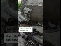 Cận cảnh nhà hàng Hoàng Tử hoang phế tại trung tâm Cần Thơ