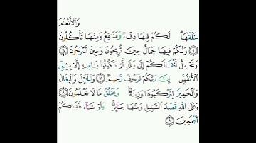 16 - سورة النحل ٥-٩ - خالد الجليل