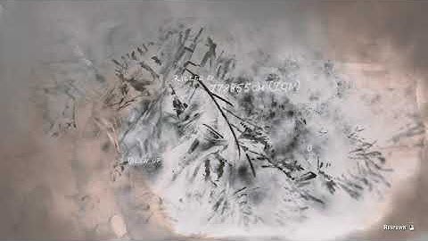 Red Dead Online hacker name 778855CM