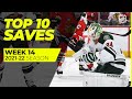 Top 10 Saves from Week 14 of the 2021-22 NHL Season