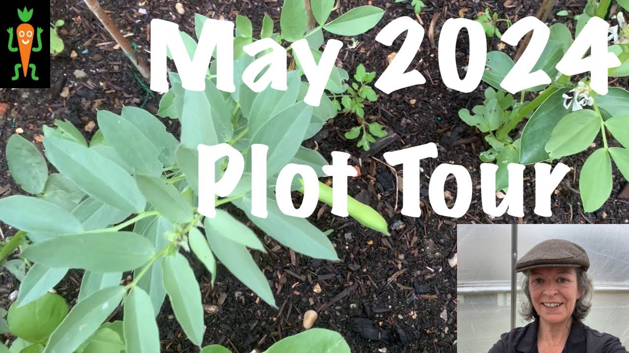 Late May 2024 Plot Tour