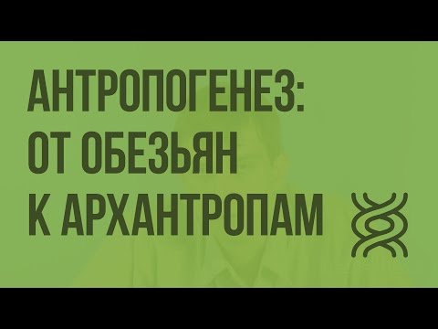 Video: Antropogenez Nədir