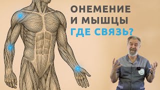 картинка: Когда тело обманывает? Почему болят нервы, хотя проблема в мышцах