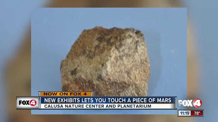 Martian meteorite winds up in Fort Myers