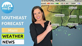 Miami's Marvelous Mornings: Your Sunny Day Forecast 🌞