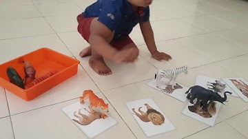 Montessori based matching (object -picture) activity - 17months toddler