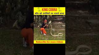 King Cobra साँप को उंगलियों पर नाचने वाला इन्सान ? | Fact factory | shorts viral trendingshorts