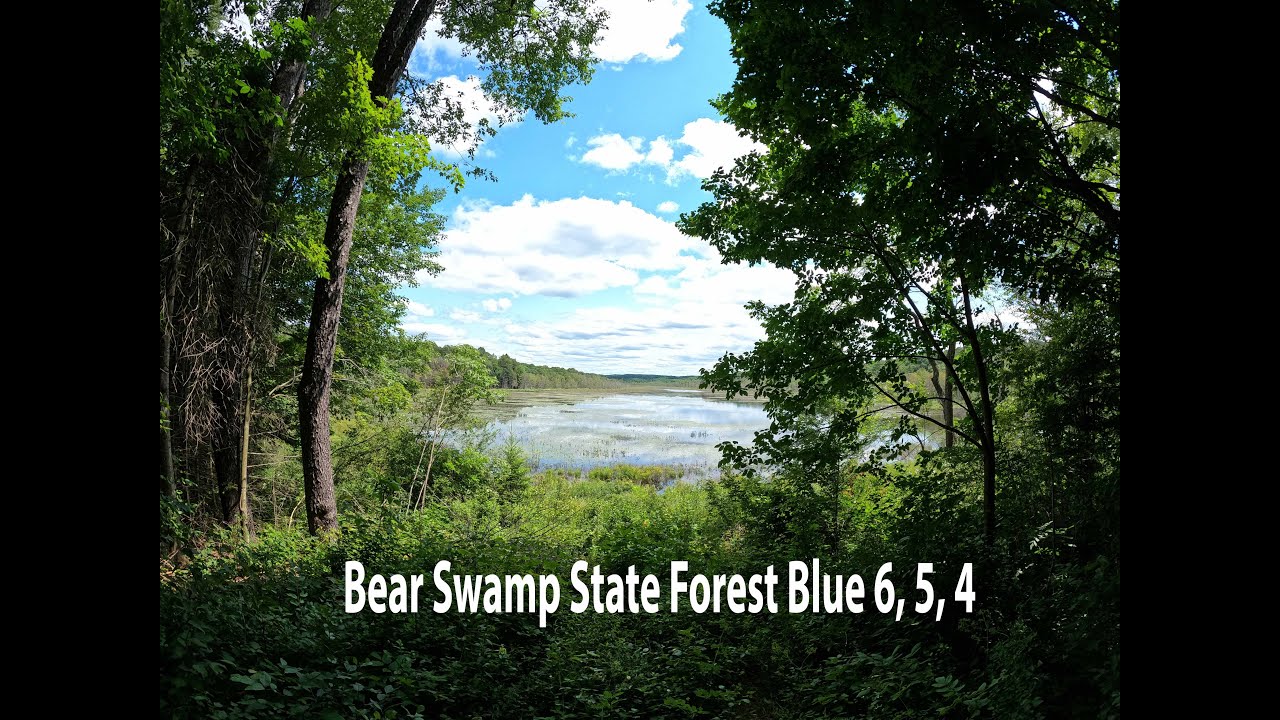 Bear Swamp State Forest Blue 6, 5(Overlook), 4 Mountain Biking