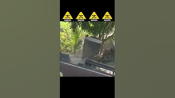 Kasihan sampai jungkir balik