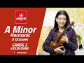 ABRSM : Grade 5 | A Minor Harmonic - 3 Octaves | Scale & Arpeggio | Violin Exam