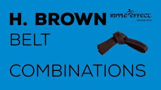 High Brown Belt Combinations - Full Speed