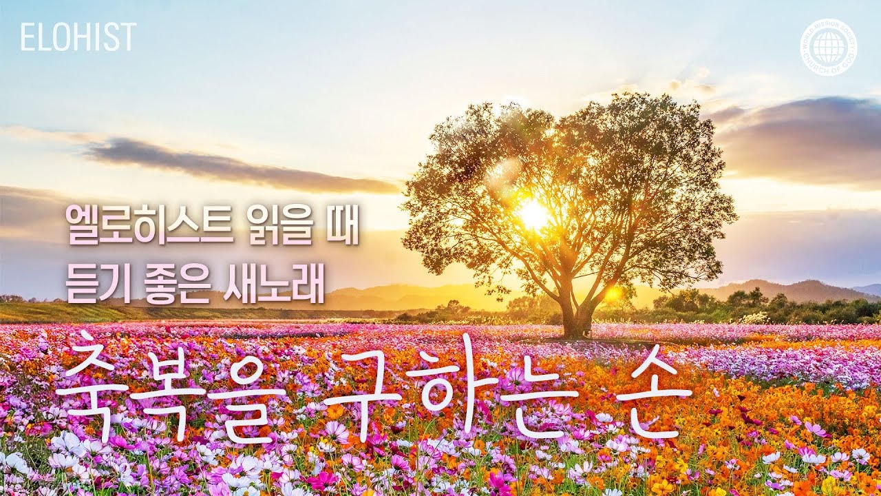 엘로히스트 읽을 때 듣기 좋은 새노래 #9│2025