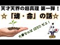 「天才天界の超真理」第１弾！「魂・命」の話 ※「シード」とはなにか？