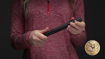 ASP Snapshot - Concealable Batons