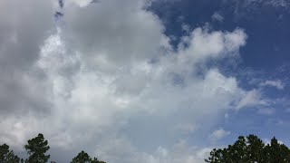 Live coverage of what should become tropical storm Cindy along the Gulf coast