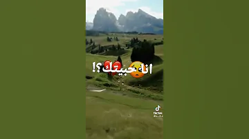 ياريت مالقيتك حالات واتس اب 