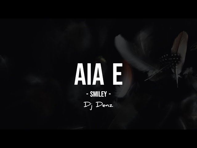 Smiley x DJ Denz - Aia E (Remix) Summer Vibe class=