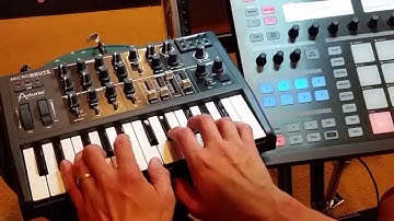 MicroBrute chiptune using Maschine as live looper