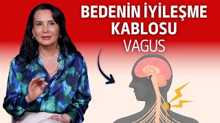 Bedenin Iyileşme Kablosu Vagus I Dr. Nilüfer Yıldırım