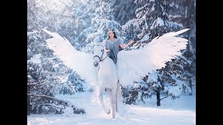 Backstage. Fantasy photo shoot "Warlike Elf and Pegasus". Backstage. Fantasy photo shoot "Warlike Elf and Pegasus".