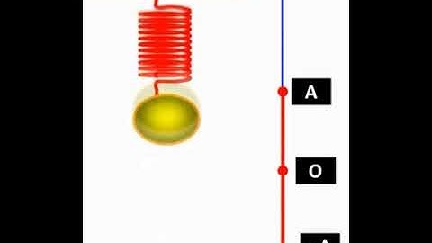 Dao động của con lắc lò xo treo thẳng đứng