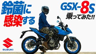 スズキ GSX-8S 乗ってみた！【モトブログ】SUZUKI GSX-8S  Motorcycle review in Japan