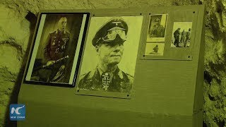 Egypts Museum Features Famous Wwii German General Rommel