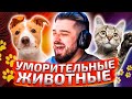 HARD PLAY СМОТРИТ АКАДЕМИЯ СМЕХА #2 / РЕАКЦИЯ ХАРД ПЛЕЙ СМЕШНЫЕ ВИДЕО , ПРИКОЛЫ , ЮМОР