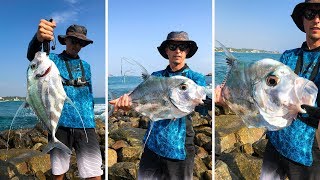 Good Diamond Trevally. Shore fishing in Sri Lanka 2019 Feb 05