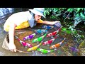 Wow!!Amazing Japan Koi Fish Find And Catch In Beautiful Lake