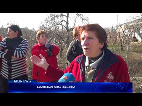 გორის მუნიციპალიტეტის სოფელ კვარხეთში საპროტესტო აქცია გაიმართა 27.02.2018