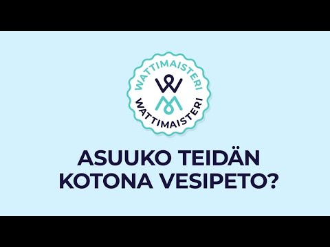 Video: Työ animaattorina: mitä se on?