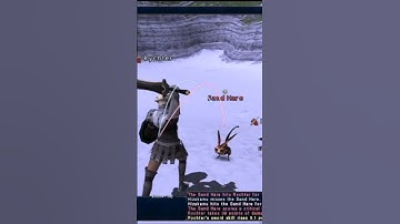 The Horizon XI leveling experience in a nutshell