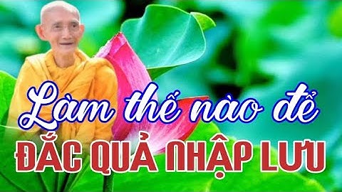 LÀM THẾ NÀO ĐỂ ĐẮC QUẢ NHẬP LƯU - HT THÍCH GIÁC KHANG