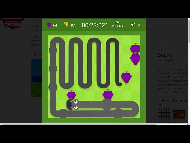 Google Snake - Guides - Speedrun