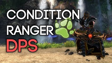 GW2 - Condition Ranger DPS
