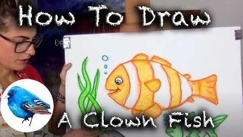 Learn how to draw A CARTOON CLOWN FISH: STEP BY STEP GUIDE! (Age 5 +)