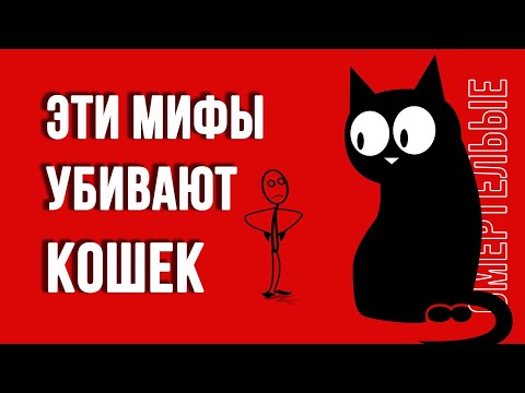 Видео: Хойя токсична для кошек?