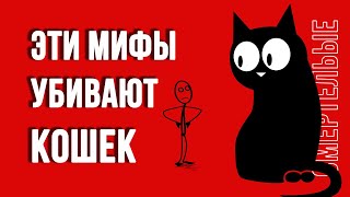 Хотите, Чтобы Кошки Жили Дольше 20 Лет? Тогда Избавьтесь От 7 Мифов