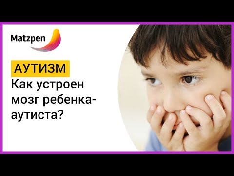 ► КАК УСТРОЕН МОЗГ РЕБЕНКА-АУТИСТА? Коррекция аутизма – возможна? | Мацпен