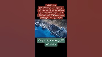 سورة فصلت 40-41: القارئ/محمد جواد سوالمة