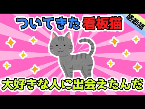 旅館の看板猫がどうしてか俺についてくるんだ。話し合った結果一緒につれてかえることにしたけど、幸せな日々をありがとう【2ch面白スレ/ほのぼのスレ】【ゆっくり解説】