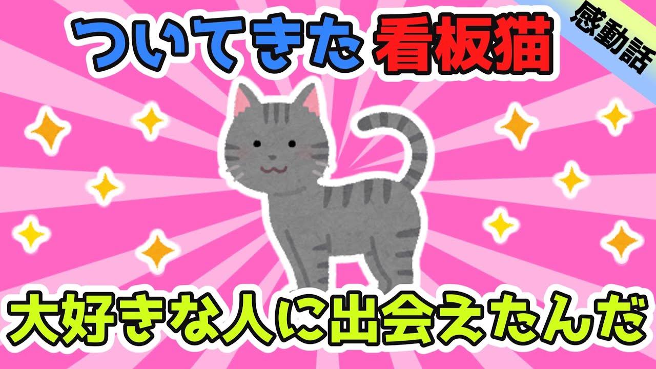 旅館の看板猫がどうしてか俺についてくるんだ。話し合った結果一緒につれてかえることにしたけど、幸せな日々をありがとう【2ch面白スレ/ほのぼのスレ】【ゆっくり解説】