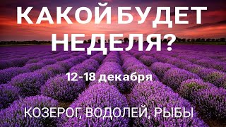 КОЗЕРОГ, ВОДОЛЕЙ, РЫБЫ. Прогноз на неделю (12-18 декабря). Расклад от ТАТЬЯНЫ КЛЕВЕР. Клевер таро.