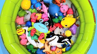 Fun Sea Animal Toys for kids Ocean Animal Names and Facts