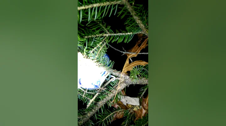 Pennsylvania Sasquatch eyeshine follow up investig...